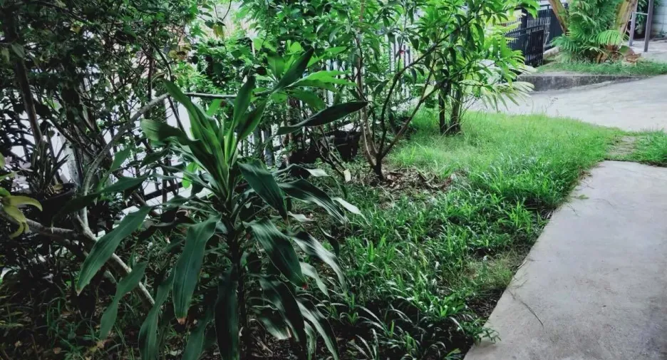 For sale 3 bedrooms house in Thalang, Phuket