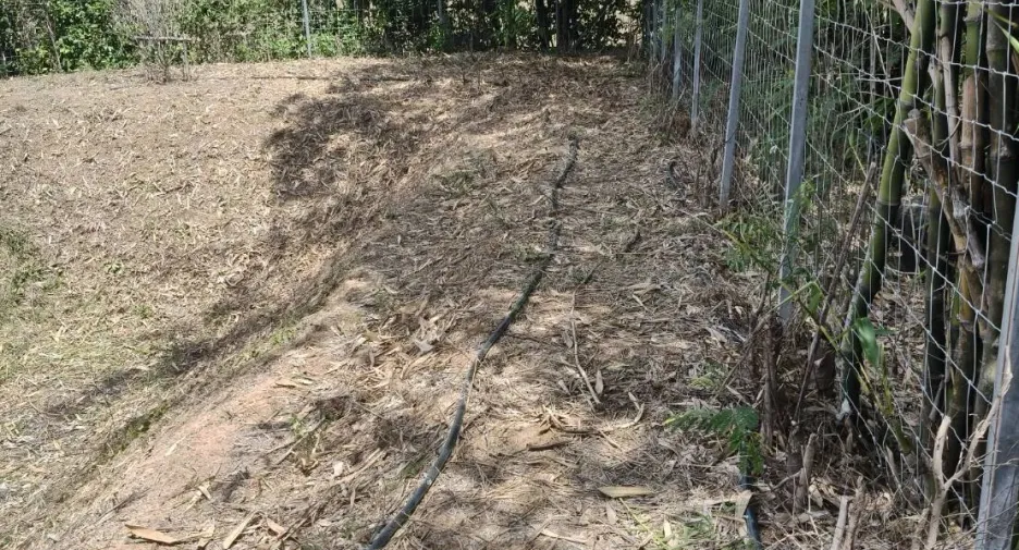 For sale land in Phachi, Phra Nakhon Si Ayutthaya