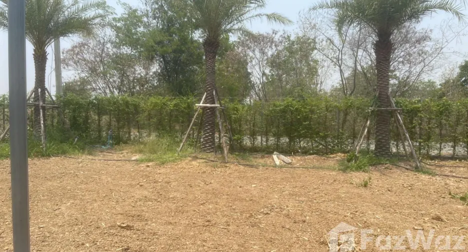 For sale land in Phachi, Phra Nakhon Si Ayutthaya