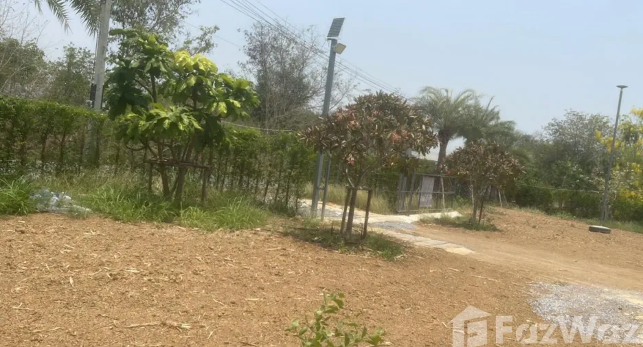For sale land in Phachi, Phra Nakhon Si Ayutthaya