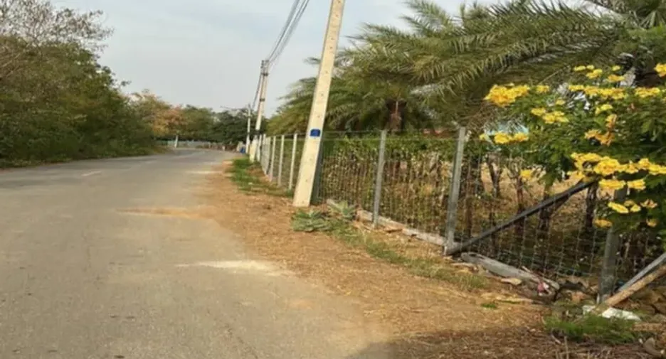 For sale land in Phachi, Phra Nakhon Si Ayutthaya