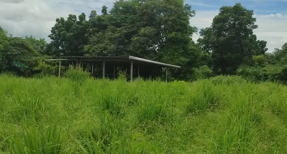For sale 2 bedrooms house in Mueang Chaiyaphum, Chaiyaphum