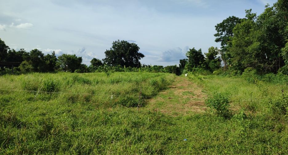 For sale 2 bedrooms house in Mueang Chaiyaphum, Chaiyaphum