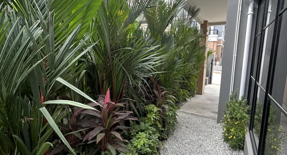 出租 4 卧室 独立屋 在 Phuket Town, 普吉