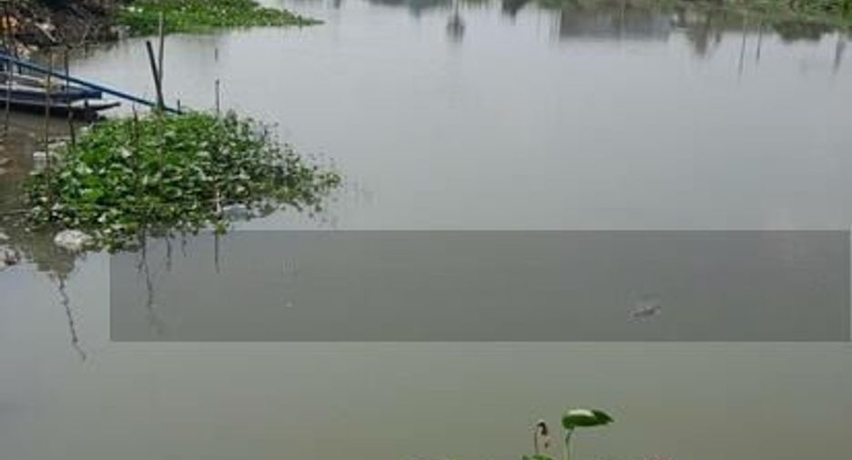 出租 5 卧室 独立屋 在 Bang Len, Nakhon Pathom