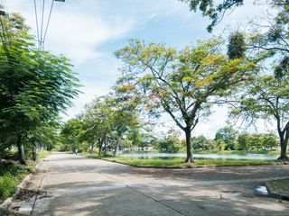 For sale land in Bang Khae, Bangkok