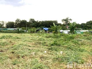 For sale land in Mueang Phuket, Phuket