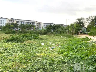 For sale land in Mueang Phuket, Phuket