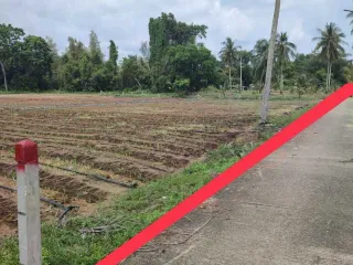 出售 土地 在 塔朗, 普吉