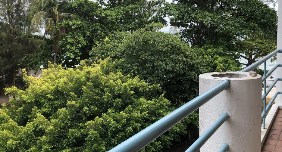 出售 和 出租 1 卧室 公寓 在 Klaeng, Rayong