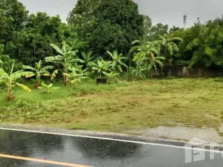 Terreno en venta en Thalang, Phuket