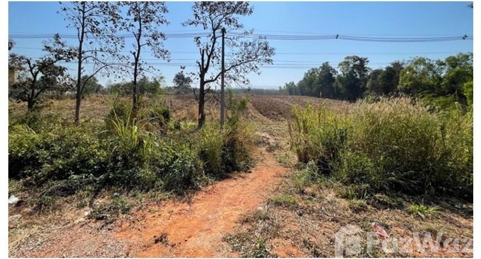 For sale land in Dan Sai, Loei