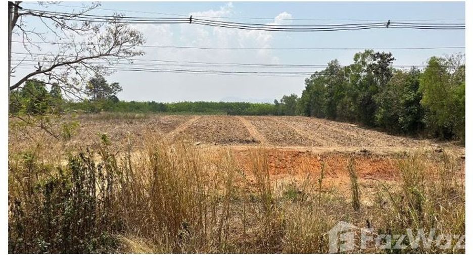 For sale land in Dan Sai, Loei