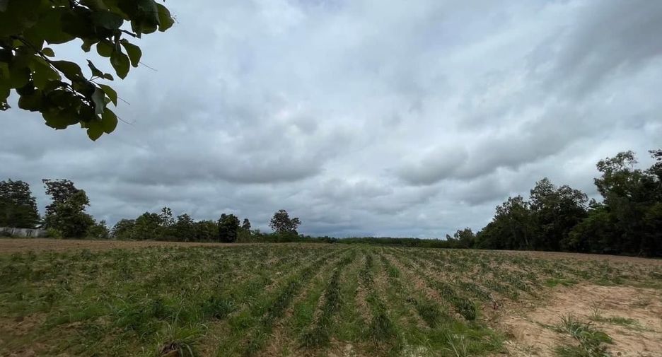For sale land in Dan Sai, Loei