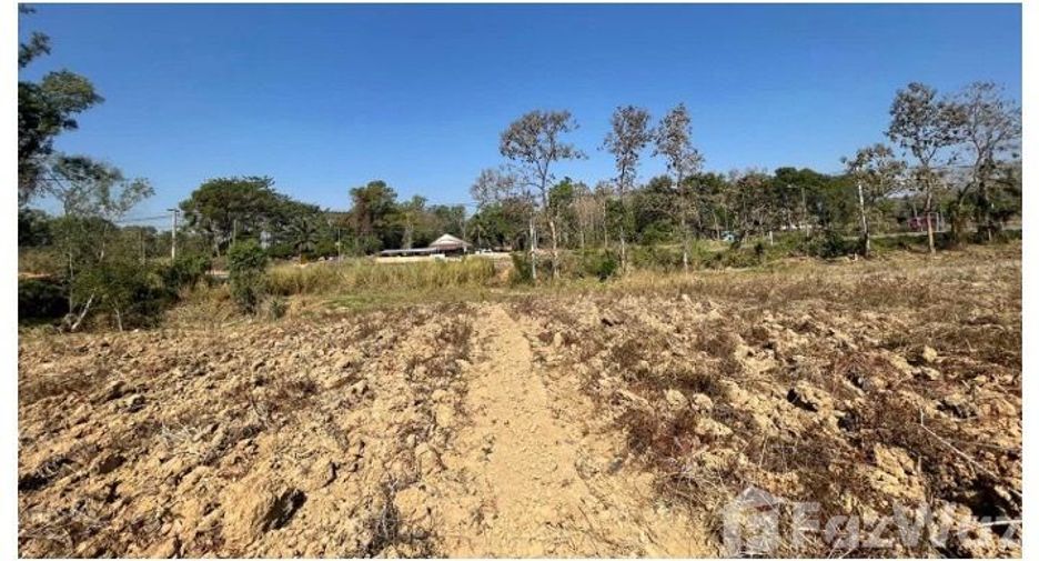 For sale land in Dan Sai, Loei