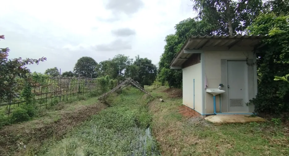 出售 土地 在 Bang Khla, Chachoengsao