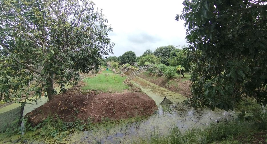 出售 土地 在 Bang Khla, Chachoengsao
