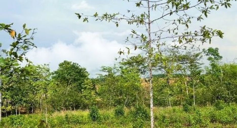Terreno en venta en Khao Saming, Trat