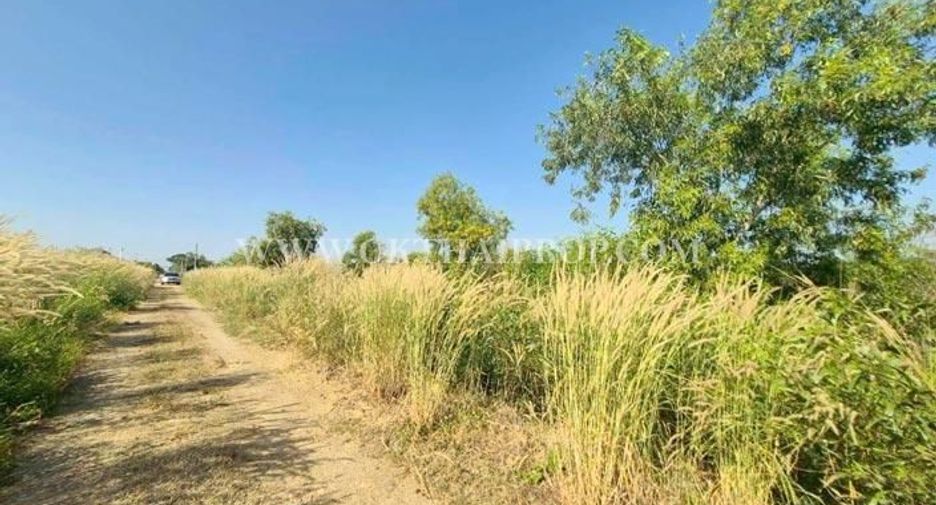 For sale land in Wang Noi, Phra Nakhon Si Ayutthaya