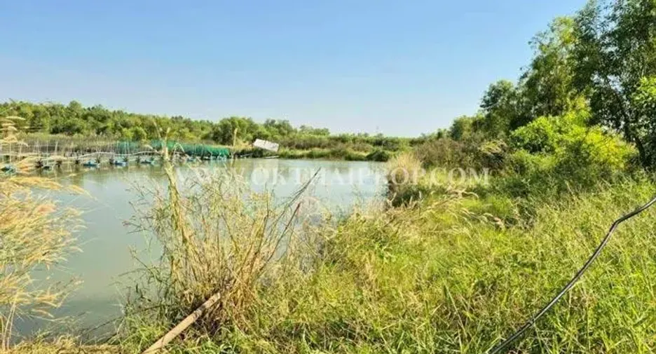 For sale land in Wang Noi, Phra Nakhon Si Ayutthaya