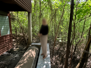 ให้เช่า 3 ห้องนอน บ้านเดี่ยว ใน เมืองปทุมธานี, ปทุมธานี