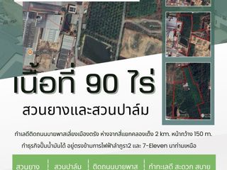 ขาย ที่ดิน ใน เมืองตรัง, ตรัง