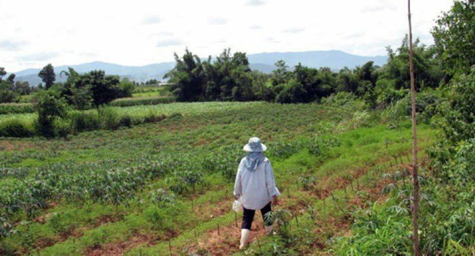 For sale land in Chiang Khong, Chiang Rai