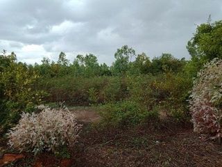 出售 土地 