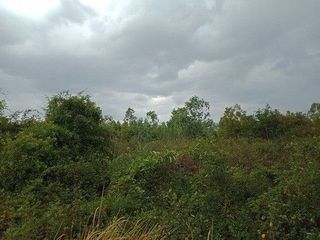 出售 土地 