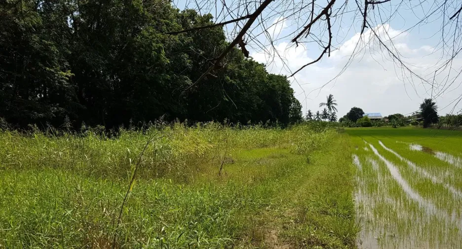 For sale land in Mueang Chai Nat, Chainat
