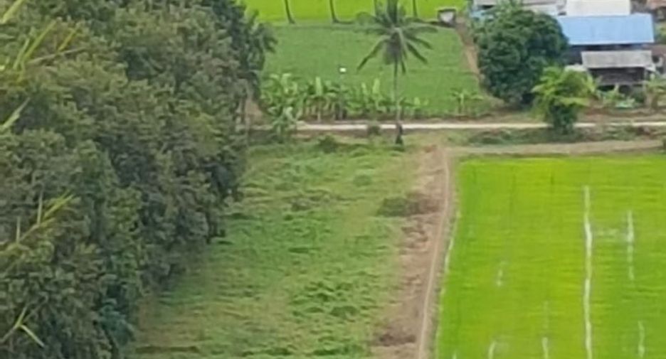 For sale land in Mueang Chai Nat, Chainat