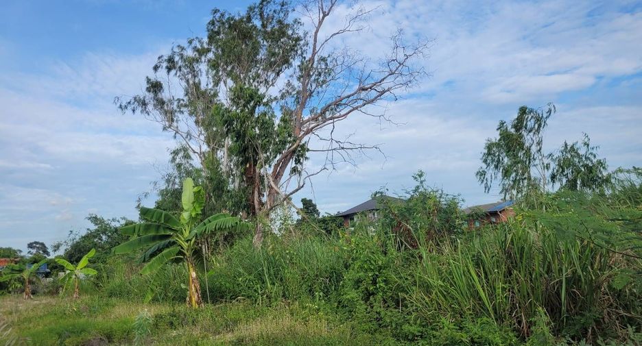 ขาย ที่ดิน ใน ศรีราชา, ชลบุรี