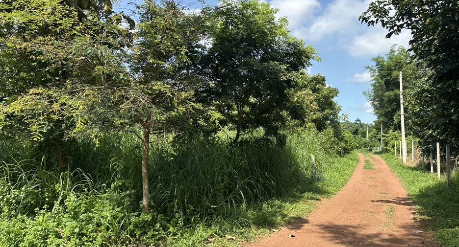 Grundstück zum Kauf in Mueang Prachinburi, Prachin Buri
