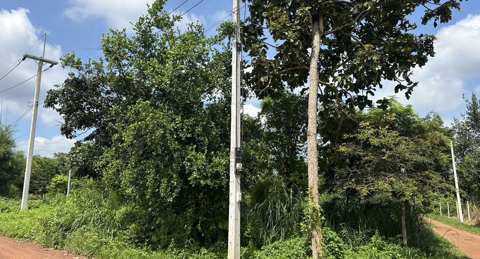 For sale land in Mueang Prachinburi, Prachin Buri