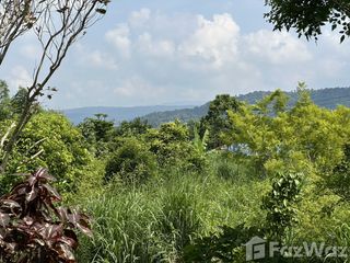 For sale land in Mueang Prachinburi, Prachin Buri