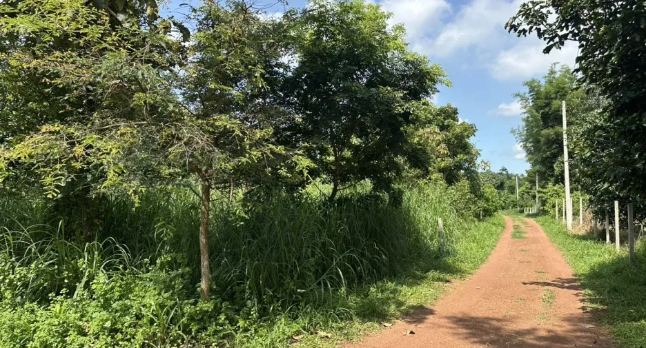 For sale land in Mueang Prachinburi, Prachin Buri