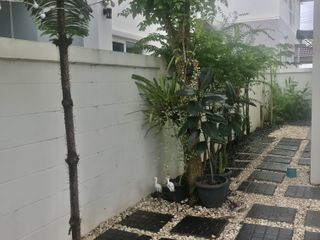 For rent 3 bedrooms house in Mueang Khon Kaen, Khon Kaen
