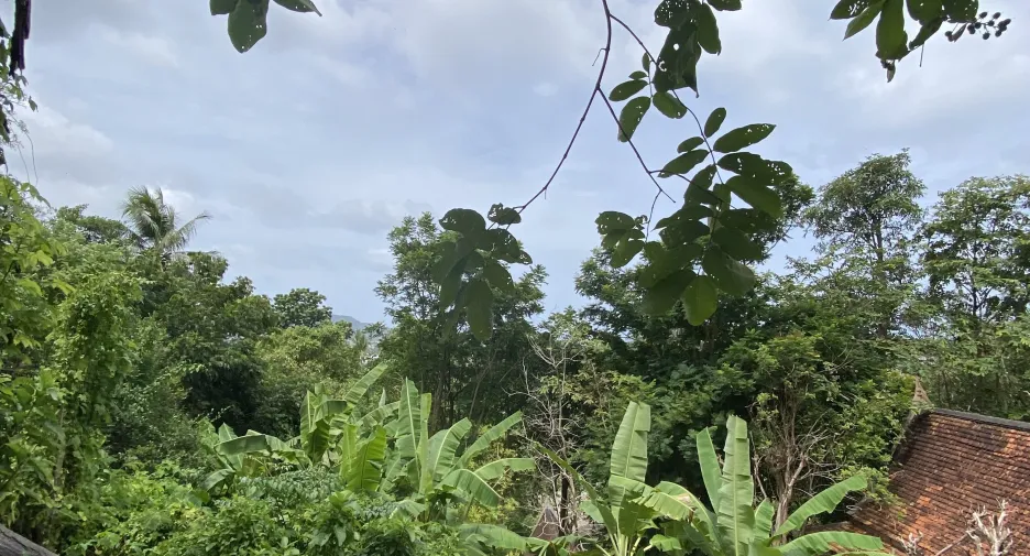 出售 土地 在 Phuket Town, 普吉