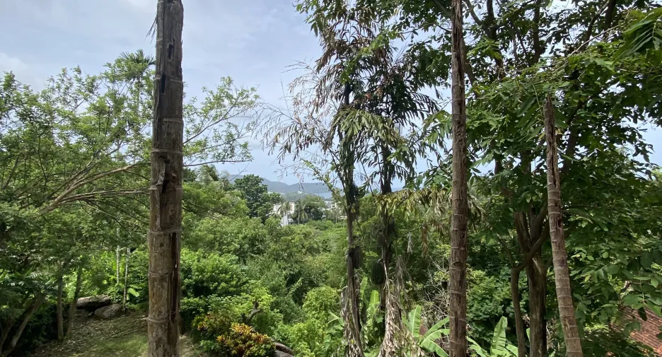 出售 土地 在 Phuket Town, 普吉