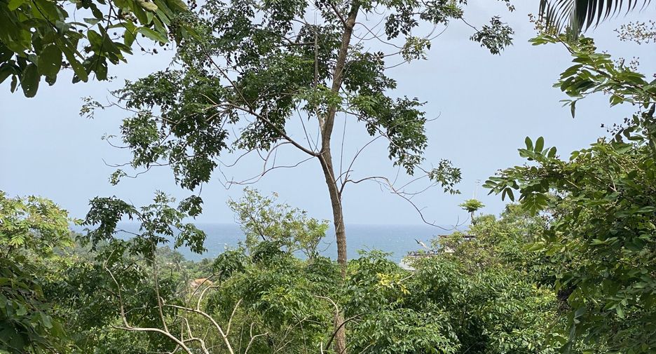 出售 土地 在 Phuket Town, 普吉
