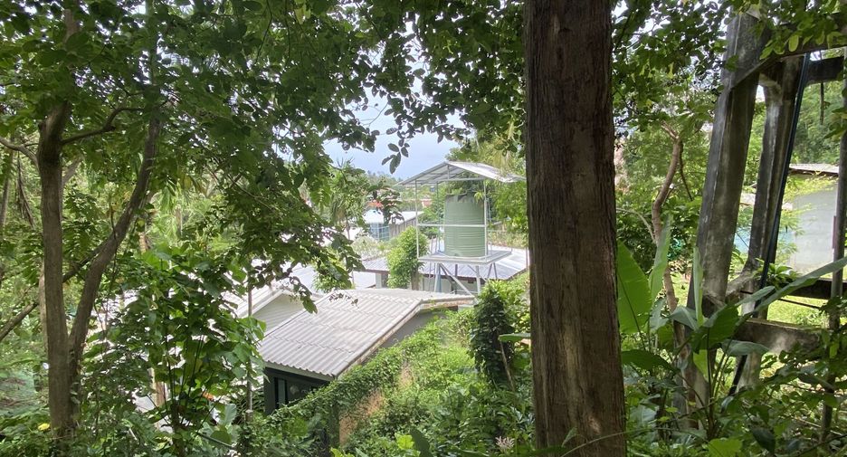 出售 土地 在 Phuket Town, 普吉