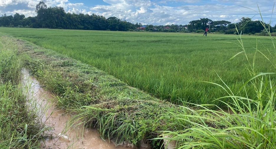 For sale land in Wiang Sa, Nan