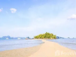 For sale land in Ko Yao, Phang Nga