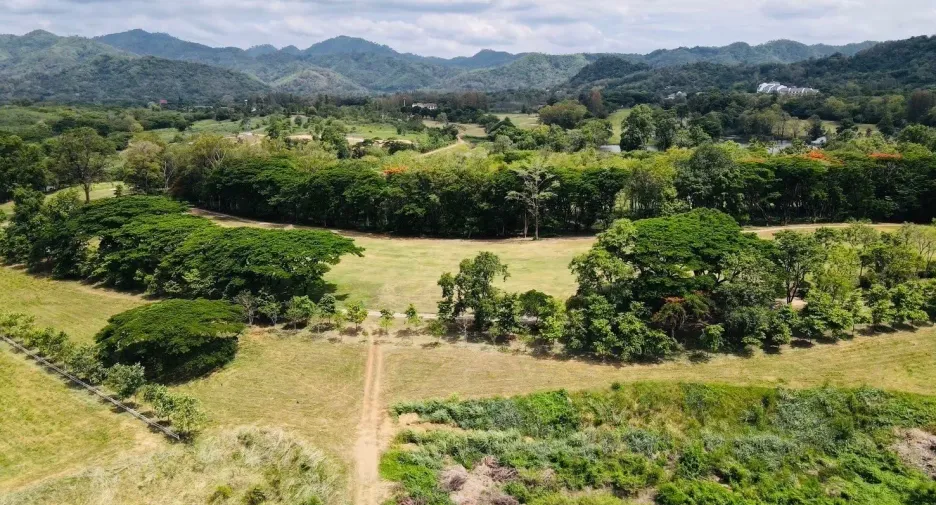For sale land in Muak Lek, Saraburi