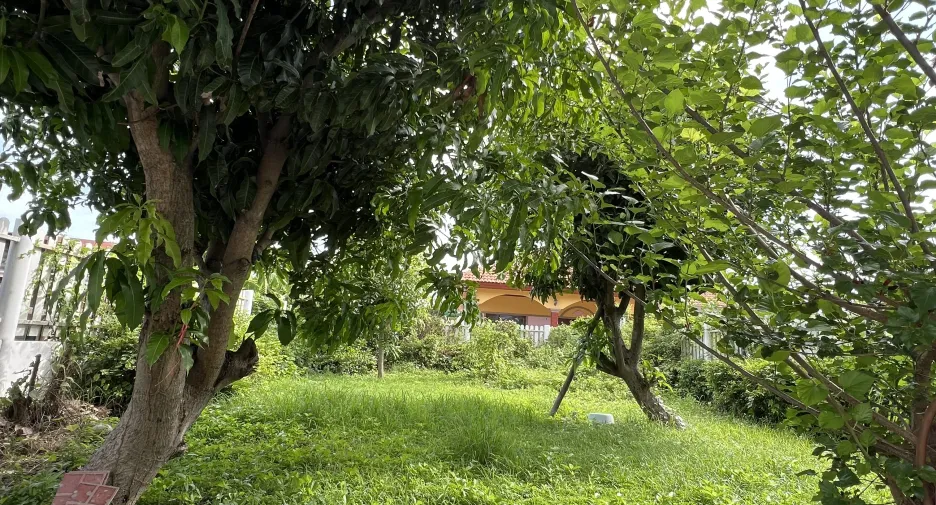 For sale 2 ベッドルーム house in Kamphaeng Saen, Nakhon Pathom