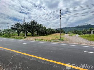 For sale land in Takua Thung, Phang Nga