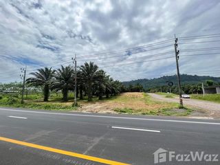 For sale land in Takua Thung, Phang Nga