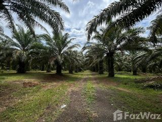 For sale land in Takua Thung, Phang Nga