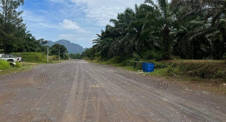 For sale land in Takua Thung, Phang Nga