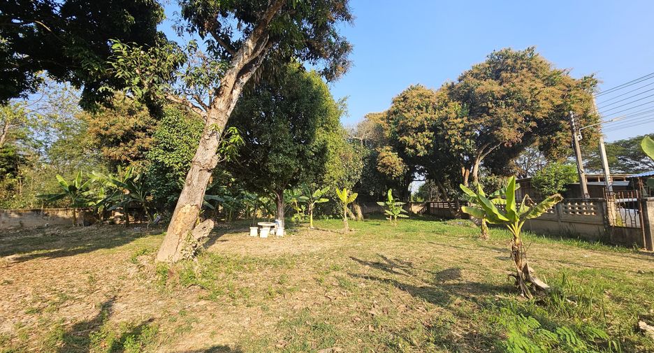 Продажа Участок в Mueang Chiang Rai, Чианг Рай